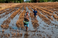 Scientists Help Vietnam’s Rice Farmers Adapt To Climate Change, Amid Major Drought